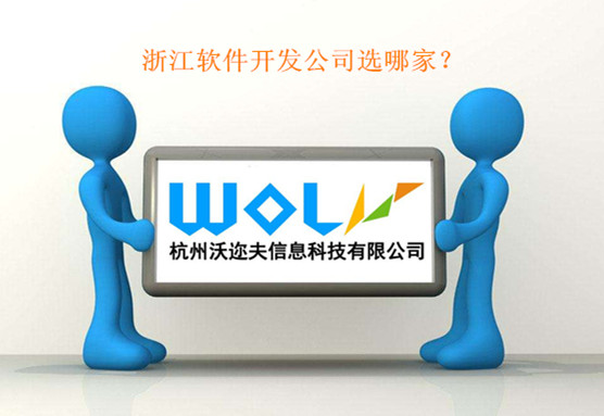 浙江软件开发公司